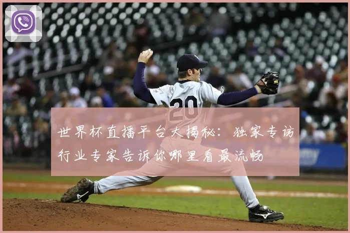 世界杯直播平台大揭秘：独家专访行业专家告诉你哪里看最流畅