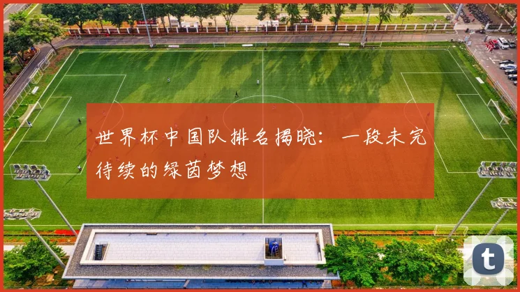世界杯中国队排名揭晓：一段未完待续的绿茵梦想